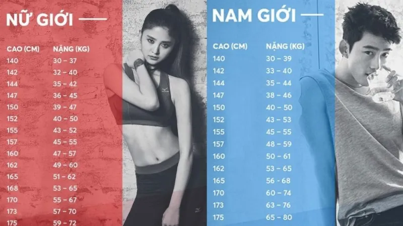 Bảng chiều cao cân nặng người lớn