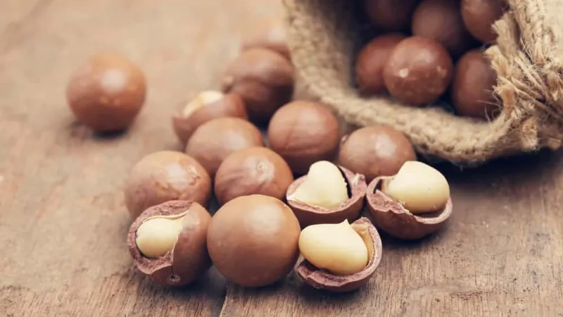 Bà bầu ăn hạt macca có sao không?