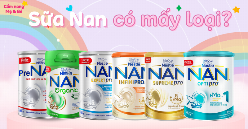 Các Loại Sữa Nan Nga Phổ Biến
