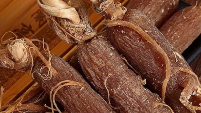 Lưu ý khi dùng sâm Hàn Quốc cho bé
