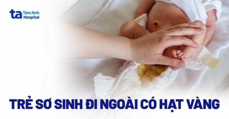 Lưu ý sử dụng phân hoa cà hoa cải