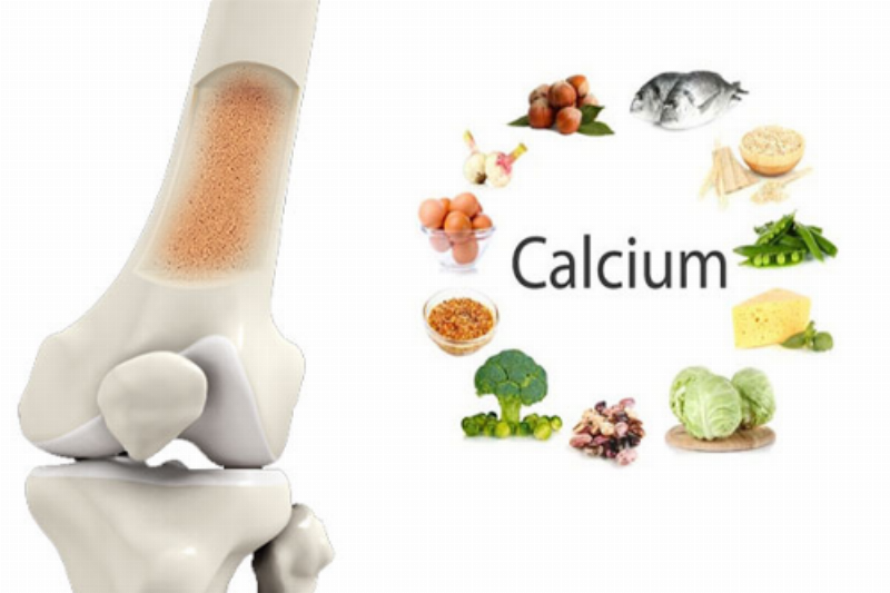 Nguồn canxi hữu cơ từ thực phẩm