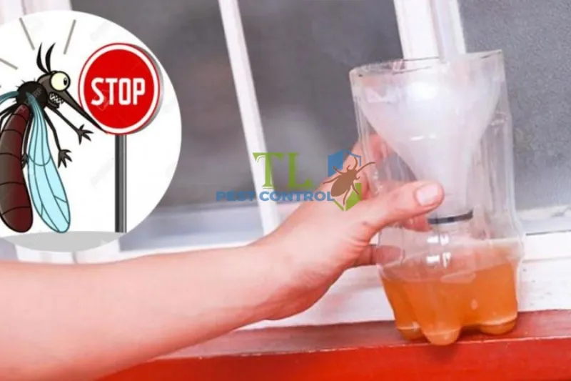 Nước xà phòng bẫy muỗi đơn giản