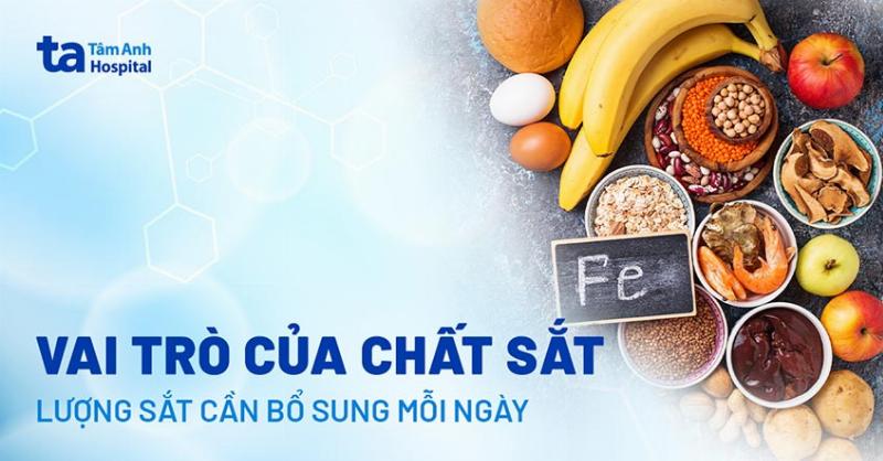 Sắt và canxi quan trọng cho cơ thể