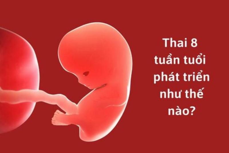 Siêu âm thai an toàn cho mẹ và bé