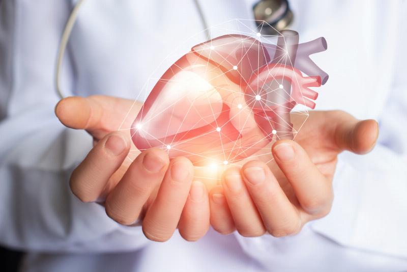 Thuốc Ăn Được Ngủ Được: Có Thực Sự Tồn Tại?