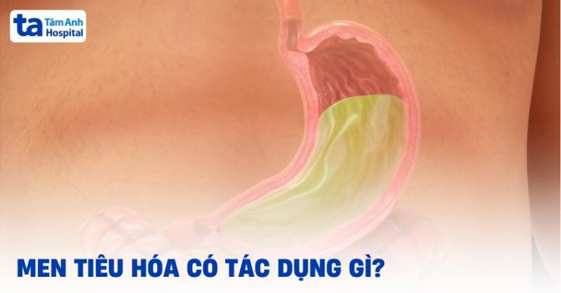 Nguồn gốc thuốc hỗ trợ tiêu hóa